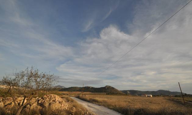 Revente - Land - Abanilla