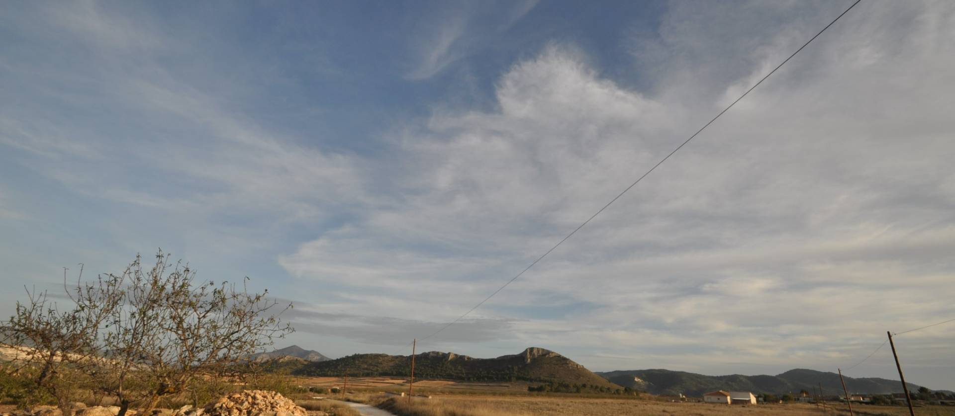 Revente - Land - Abanilla