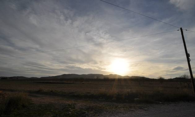 Revente - Land - Abanilla