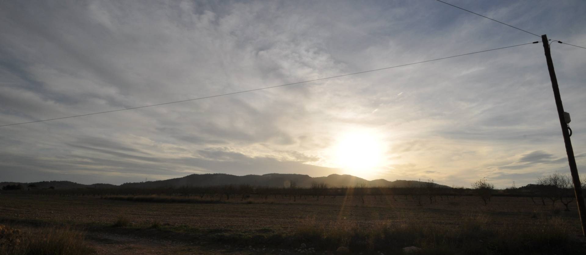 Revente - Land - Abanilla