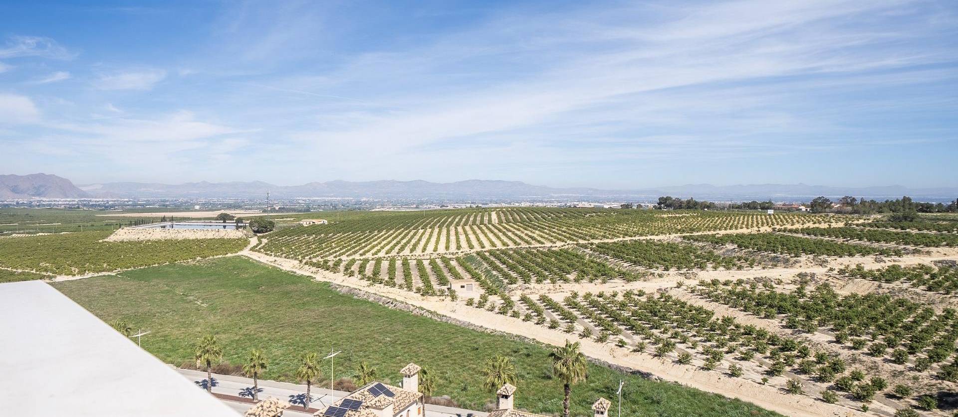 New Build - Villa - Algorfa - La Finca Golf