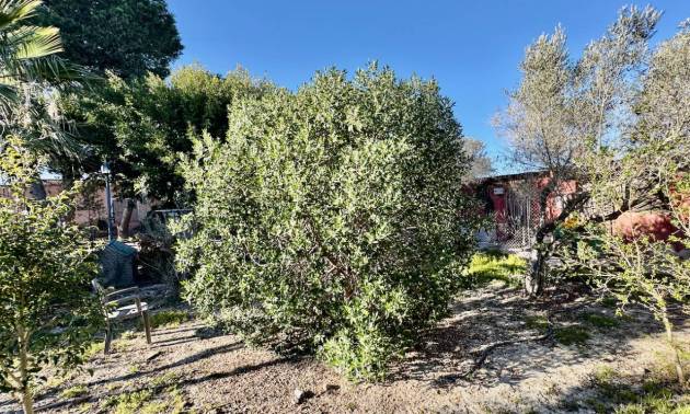 Bestaande woningen - Villa - Guardamar del Segura