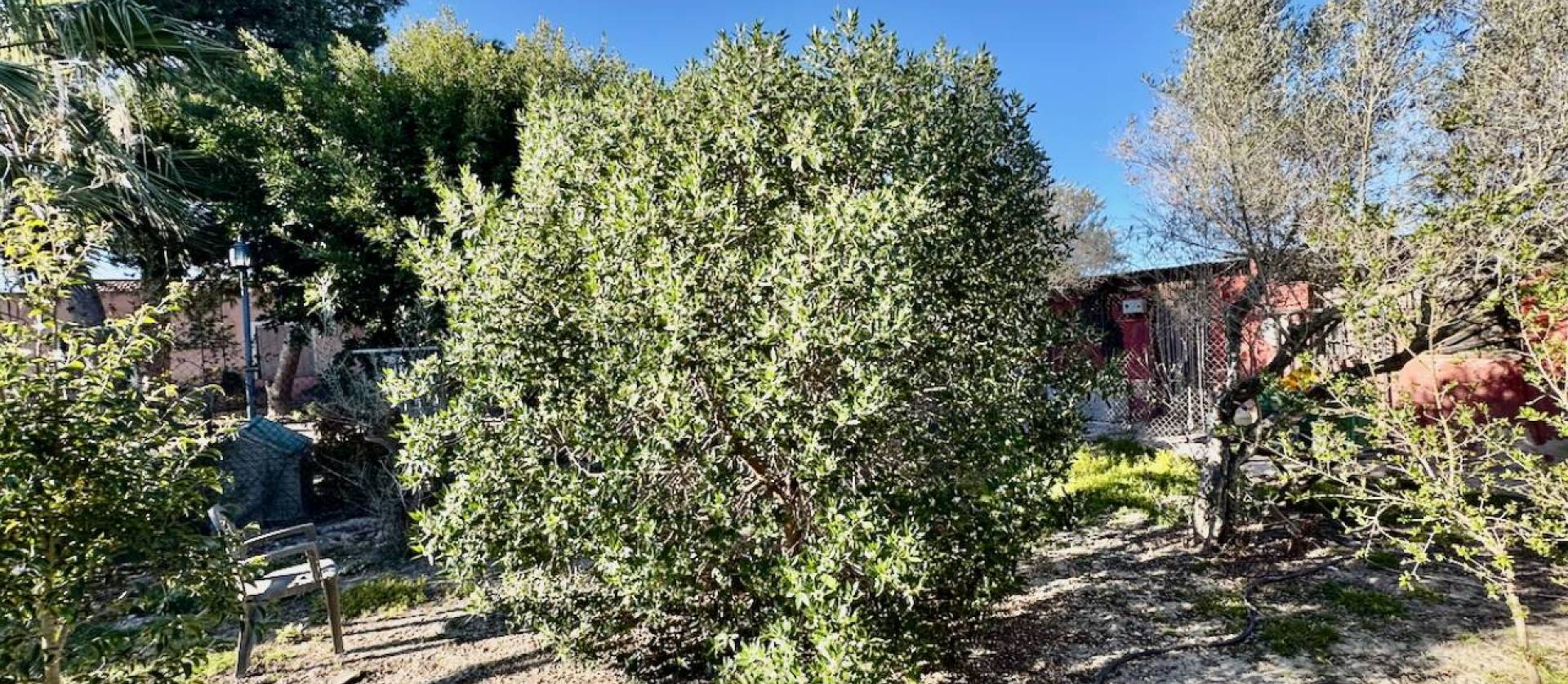 Bestaande woningen - Villa - Guardamar del Segura