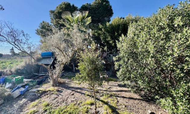 Bestaande woningen - Villa - Guardamar del Segura