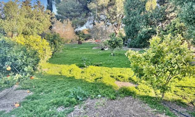 Bestaande woningen - Villa - Guardamar del Segura