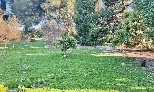 Bestaande woningen - Villa - Guardamar del Segura