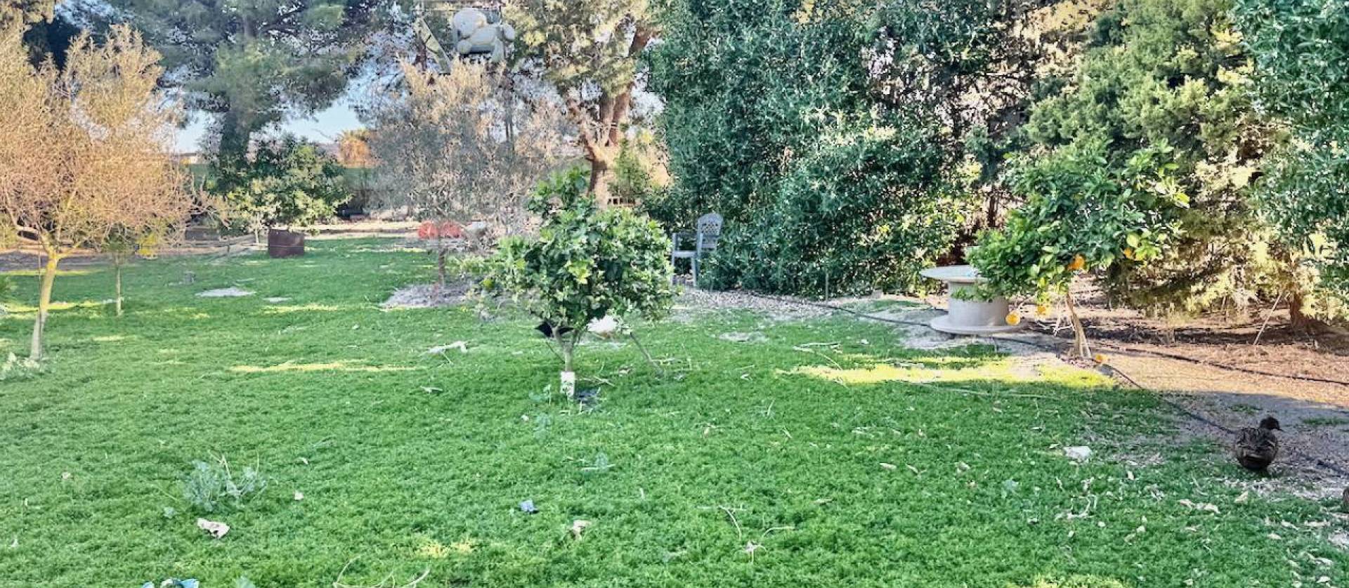 Bestaande woningen - Villa - Guardamar del Segura