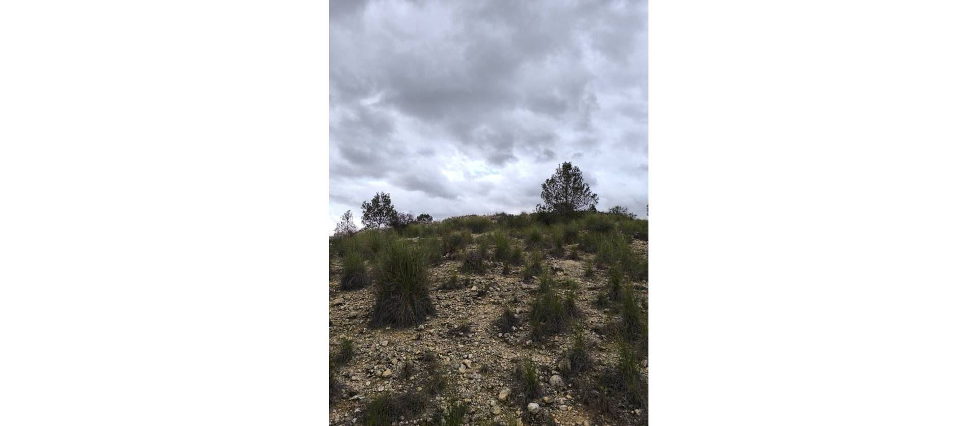 Sale - Land - Chinorlet