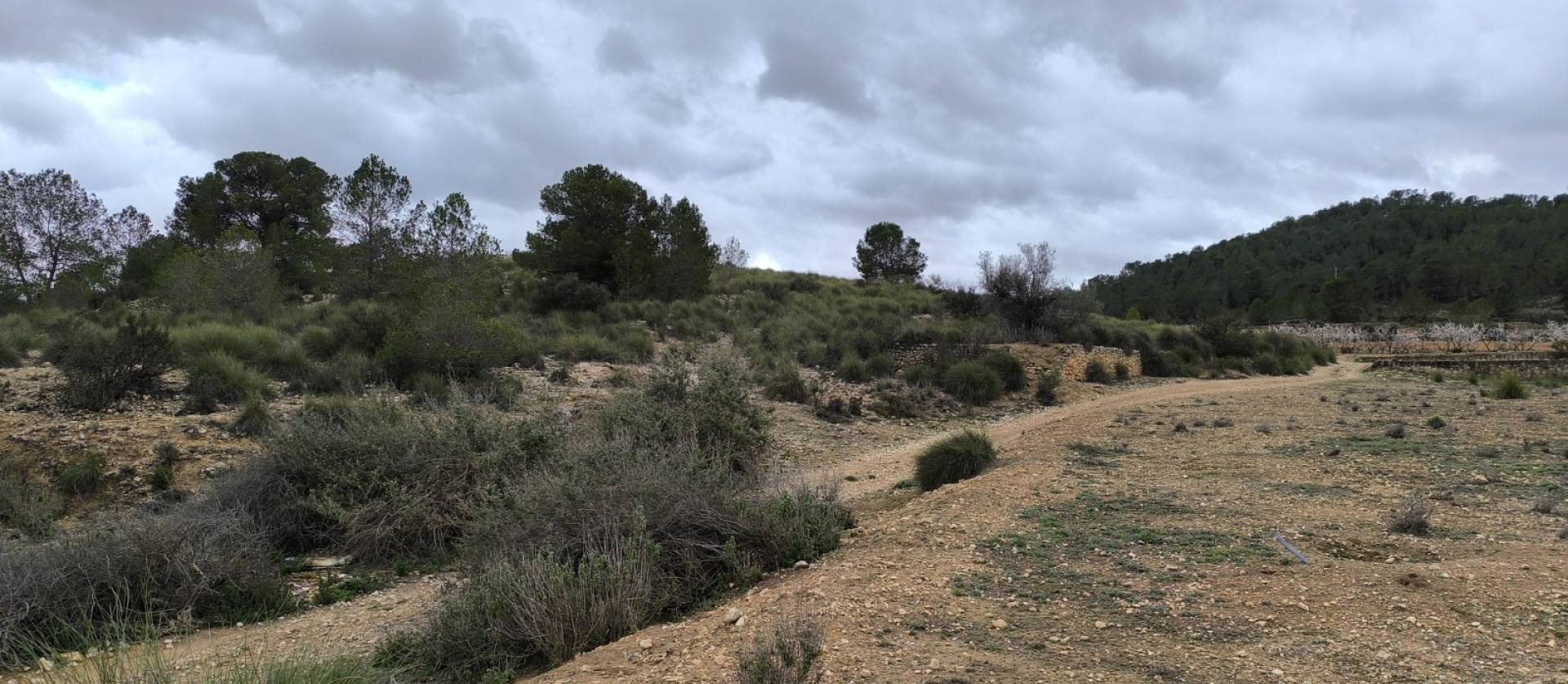 Sale - Land - Chinorlet