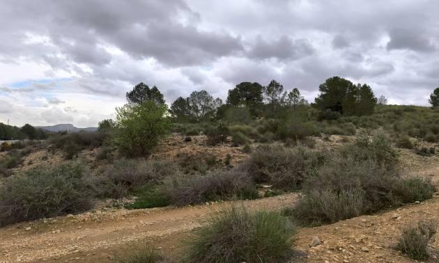 Sale - Land - Chinorlet