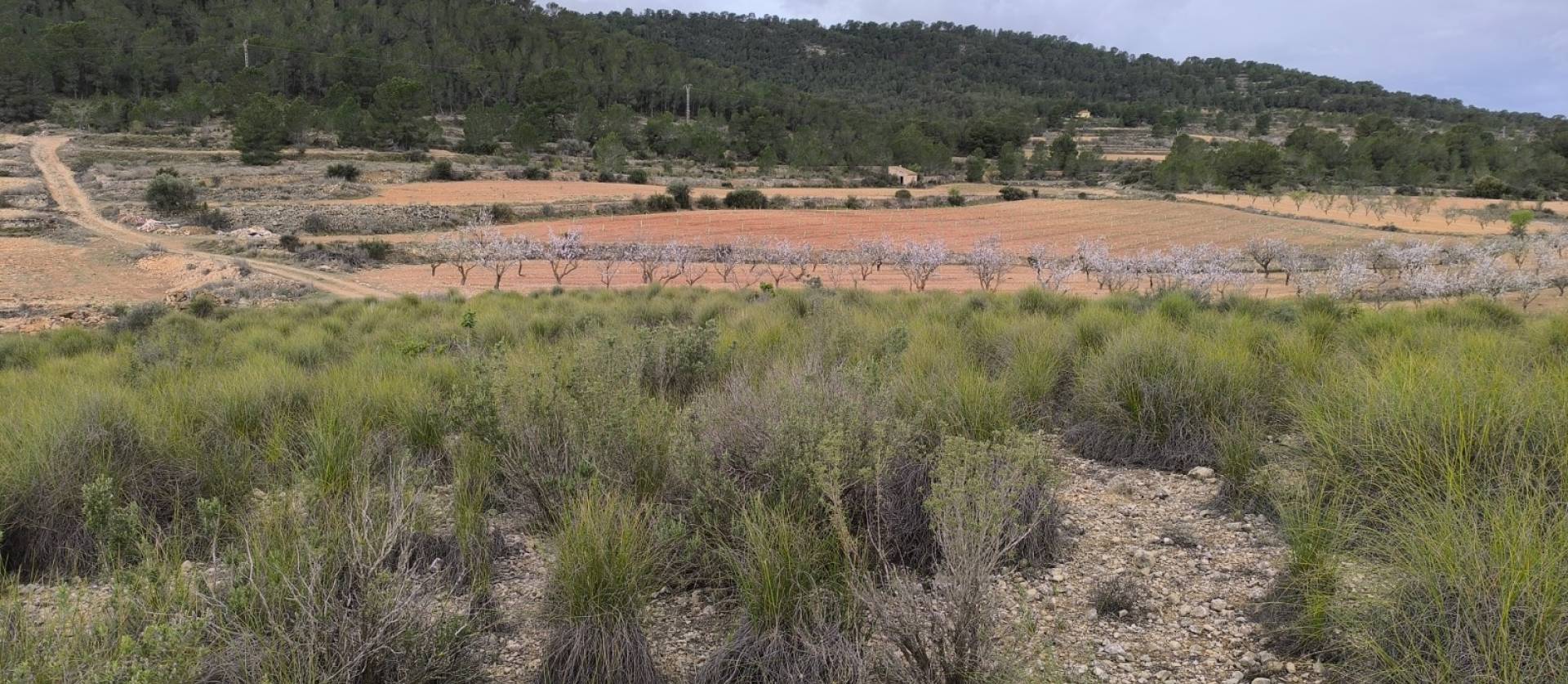 Sale - Land - Chinorlet