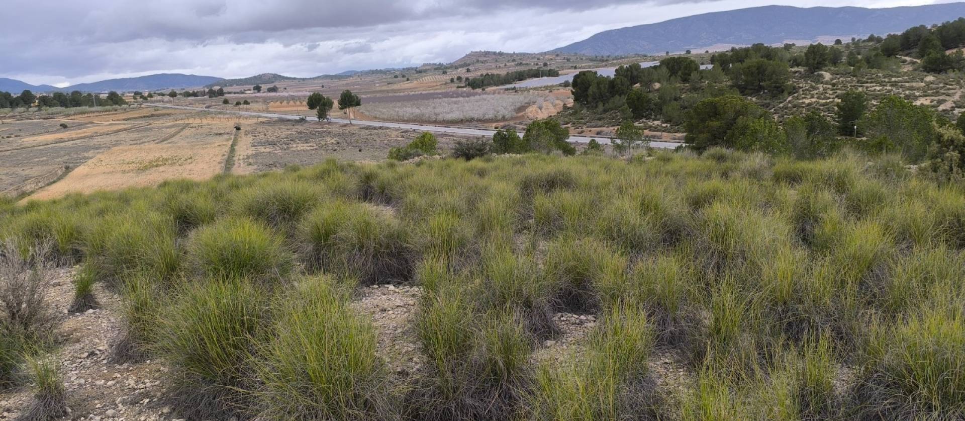 Sale - Land - Chinorlet