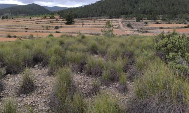 Sale - Land - Chinorlet