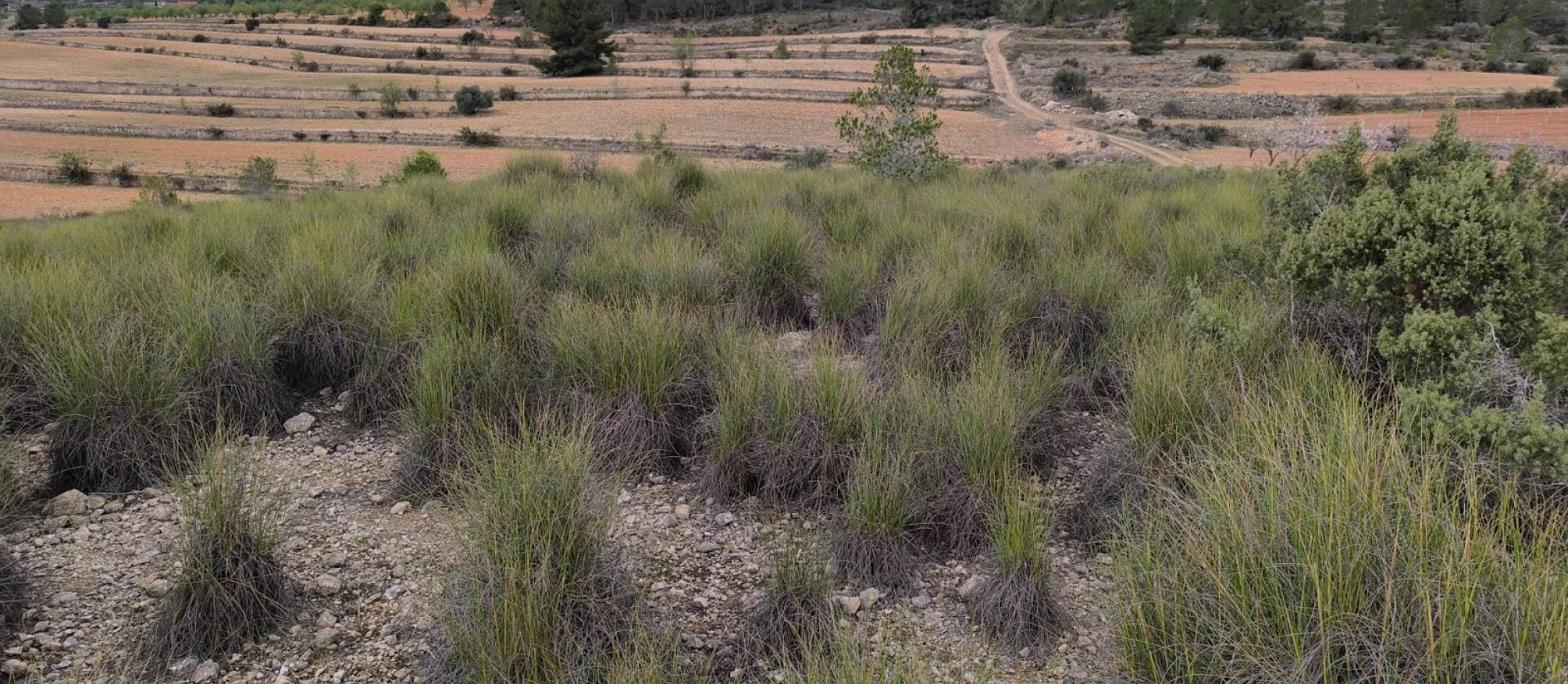 Sale - Land - Chinorlet