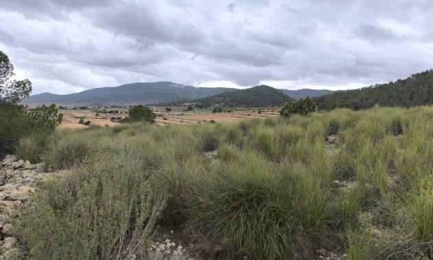 Sale - Land - Chinorlet