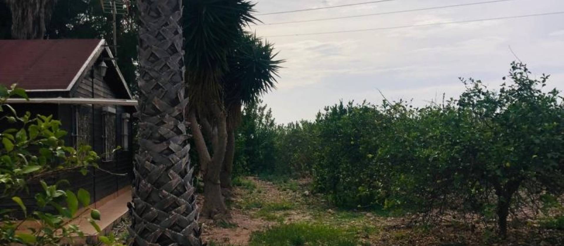 Revente - Country House - Orihuela