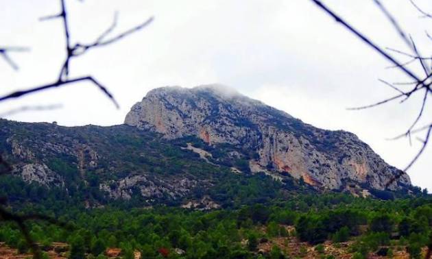 New Build - Villa - La Romana - Batistes