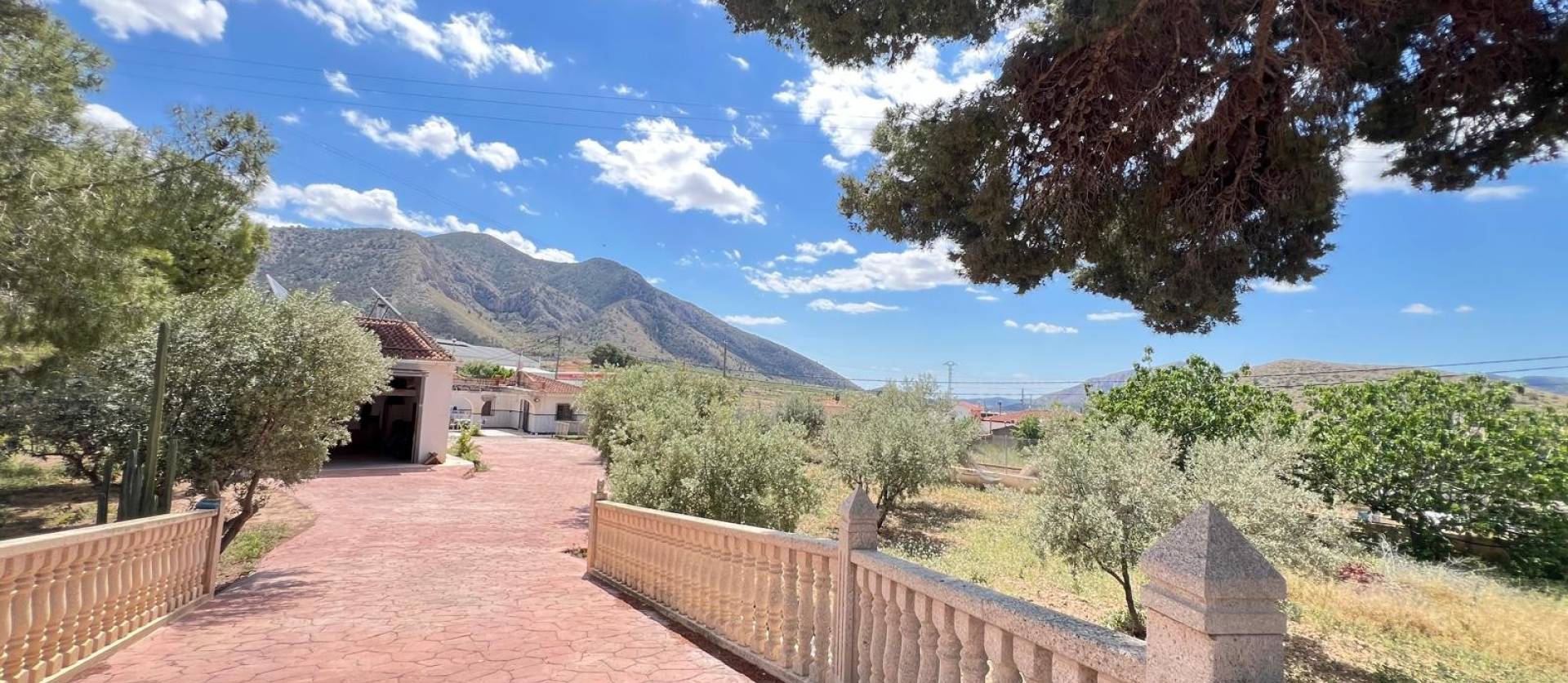 Sale - Country House - Alguena