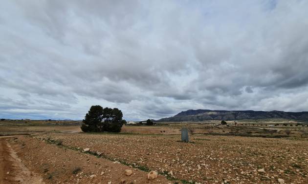 Revente - Land - Torre Del Rico
