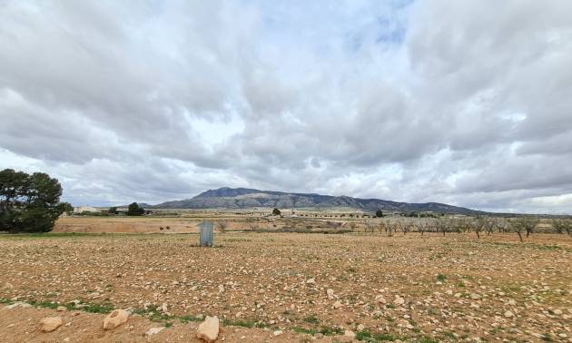 Revente - Land - Torre Del Rico