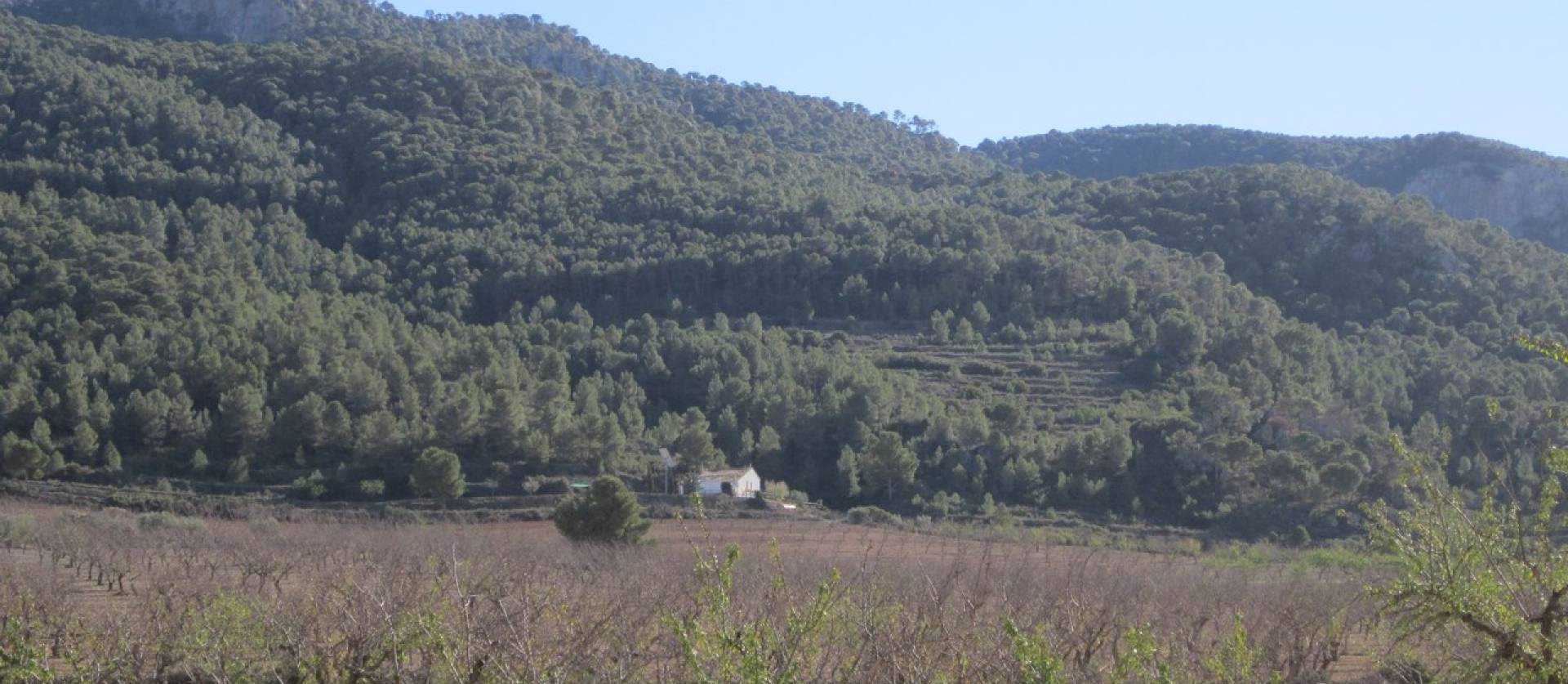 Sale - Land - Villena