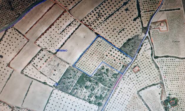 Revente - Land - Yecla