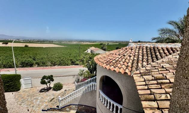 Sale - Villa - Algorfa - Lomas De La Juliana