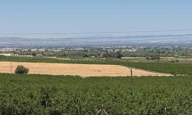 Sale - Villa - Algorfa - Lomas De La Juliana