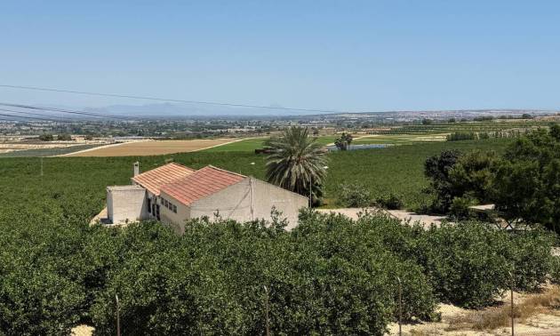 Sale - Villa - Algorfa - Lomas De La Juliana