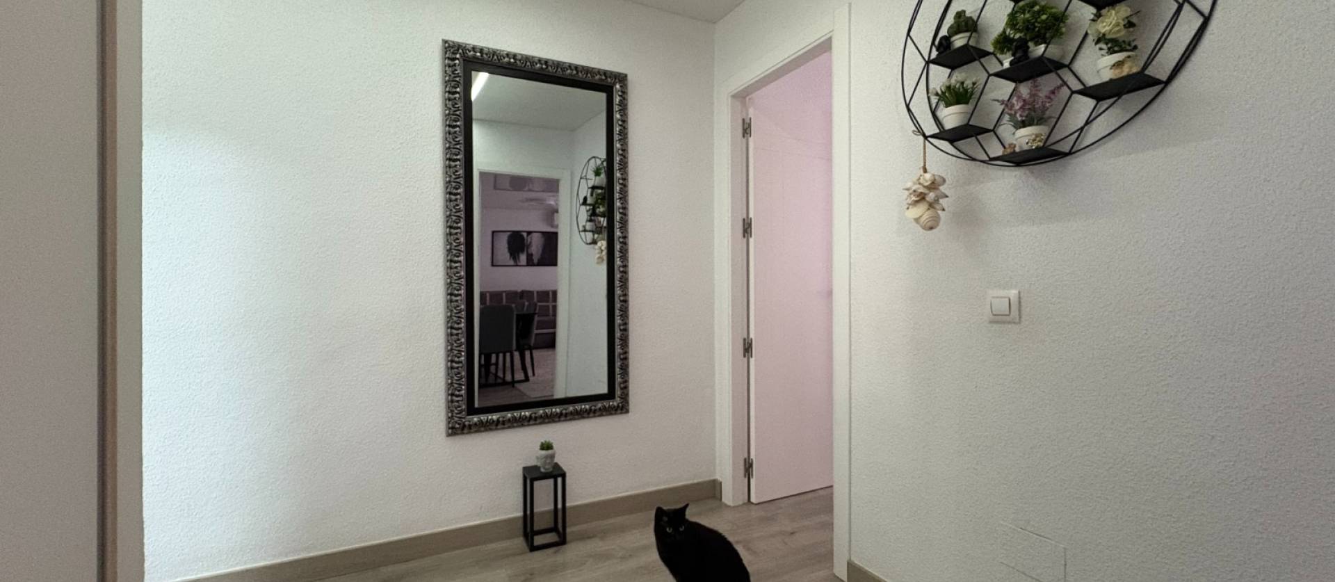 Sale - Apartment - Torrevieja - Centro