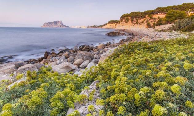 New Build - Villa - Benissa