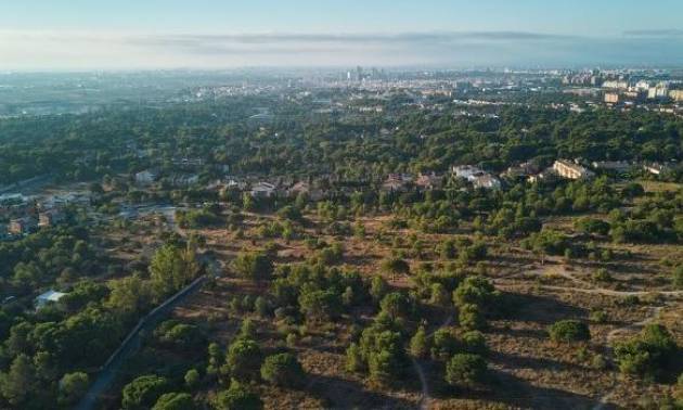 Nouvelle construction - Apartment - Godella