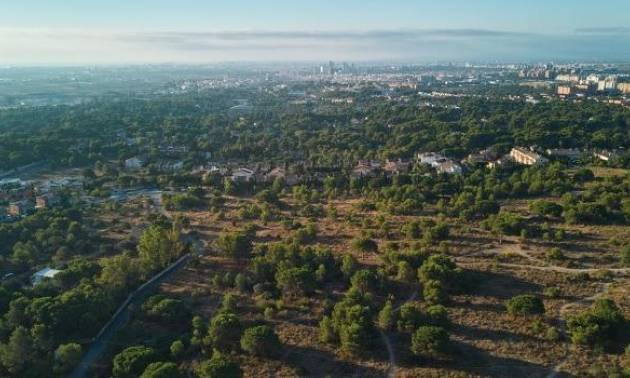 Nouvelle construction -  - Godella