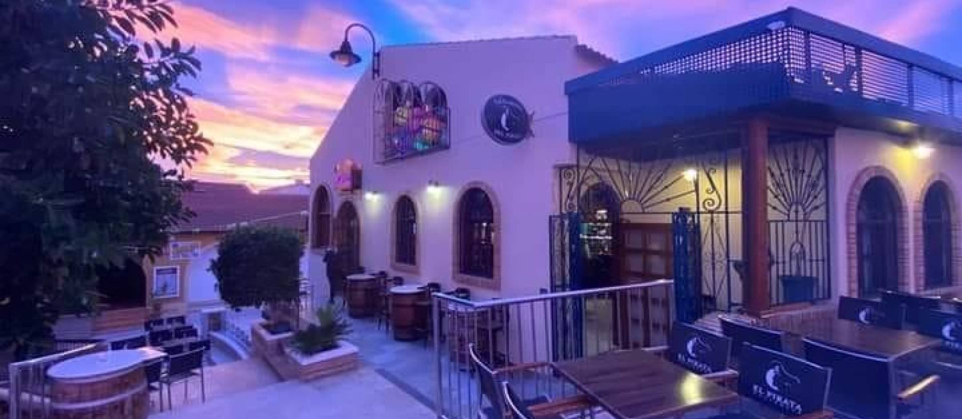 Nouvelle construction - Villa - Pilar de la Horadada