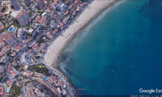 Nueva construcción  - Apartment - Benidorm