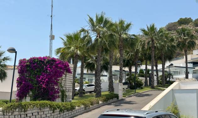 Sale - Villa - San Miguel de Salinas - San Miguel Salinas