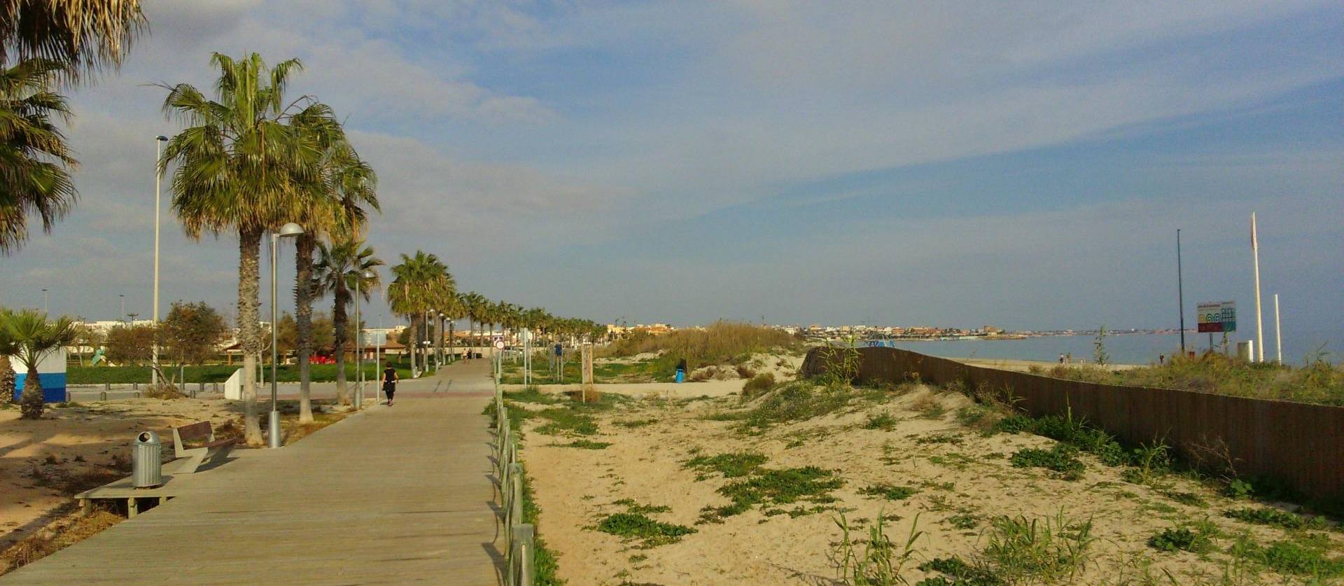 Nueva construcción  - Villa - Pilar de la Horadada