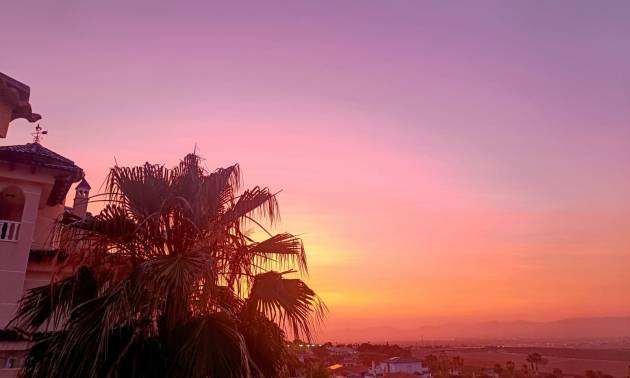 Sale - Villa - Algorfa - Lomas de Juliana