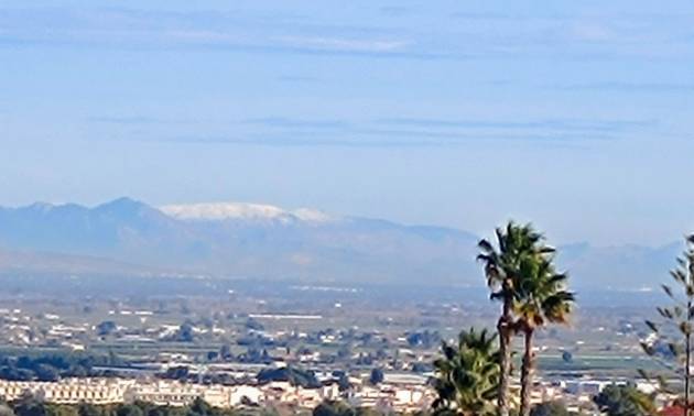 Sale - Villa - Algorfa - Lomas de Juliana