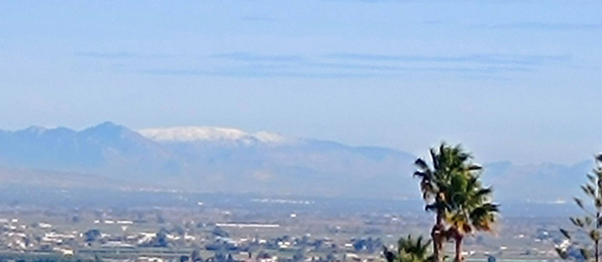 Sale - Villa - Algorfa - Lomas de Juliana