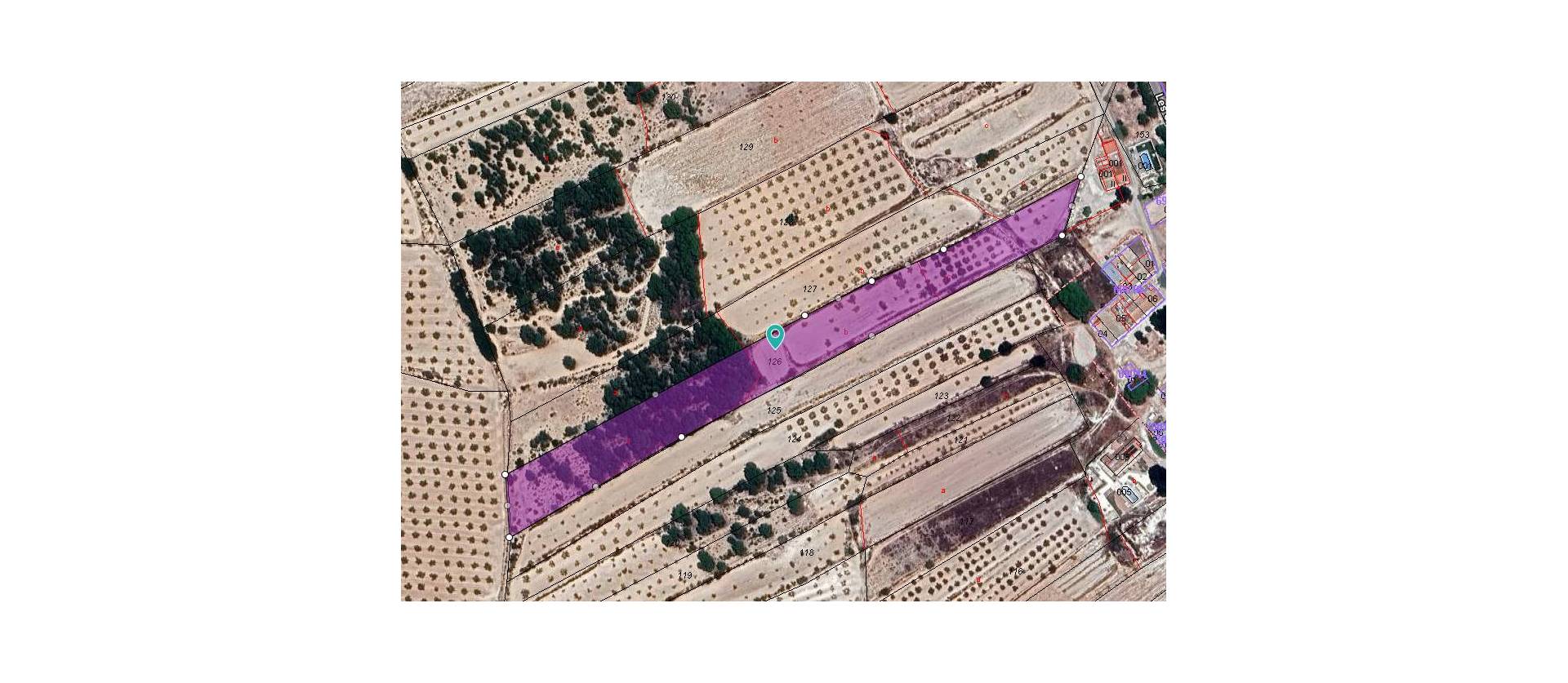 Sale - Land - Monovar