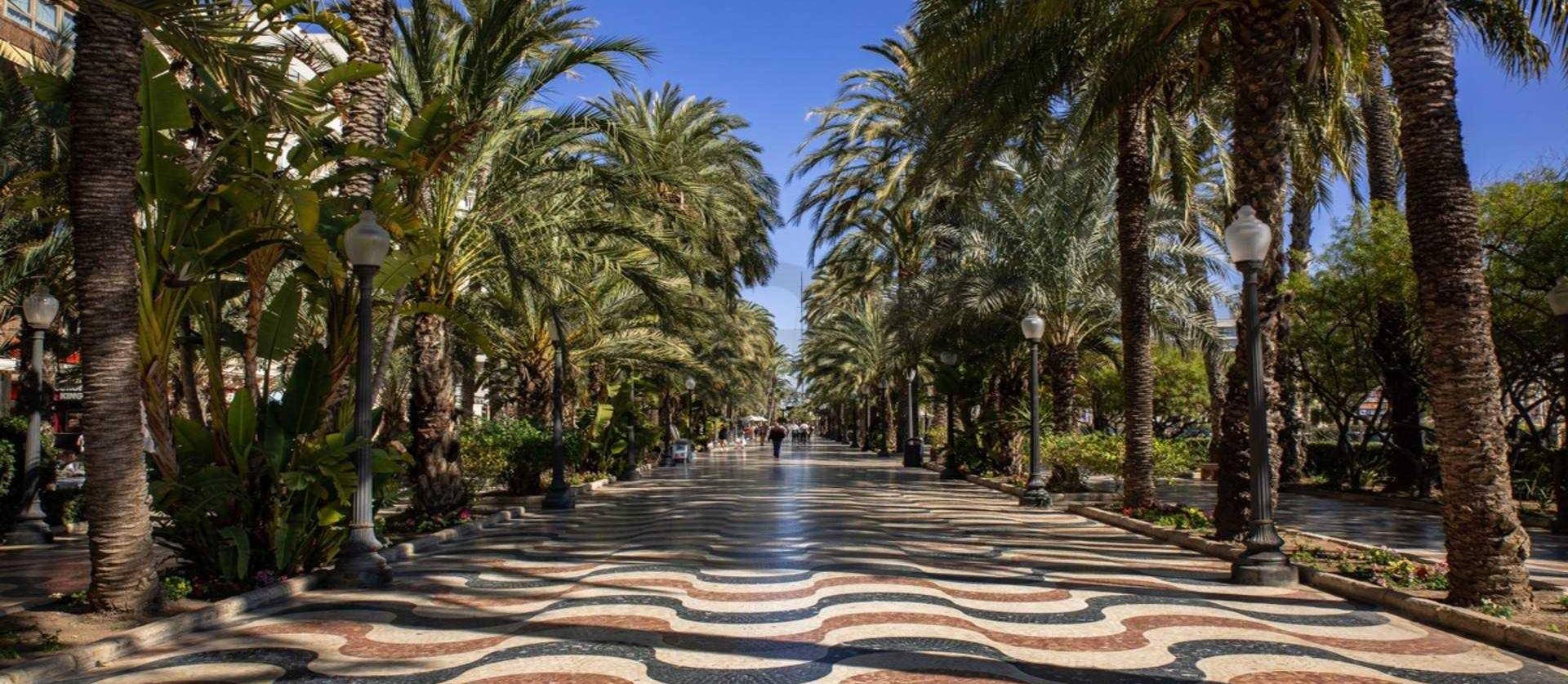 New Build - Apartment - Alicante - Center