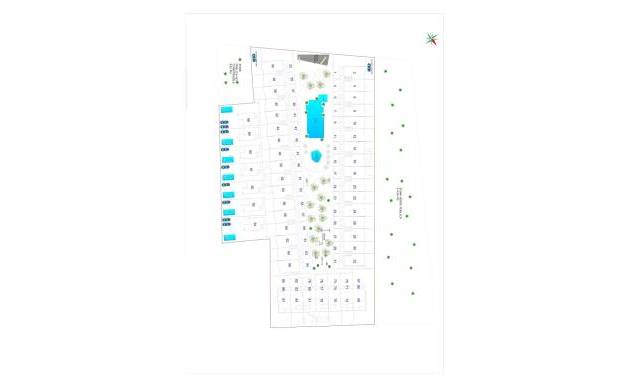 New Build - Apartment - Torrevieja - Punta Prima