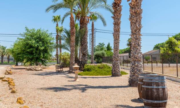 Revente - Country House - Catral