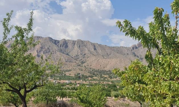 Revente - Land - Abanilla