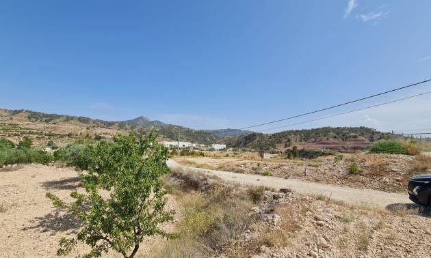 Revente - Land - Abanilla