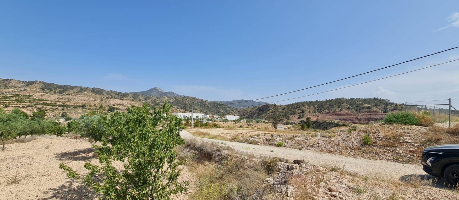 Sale - Land - Abanilla