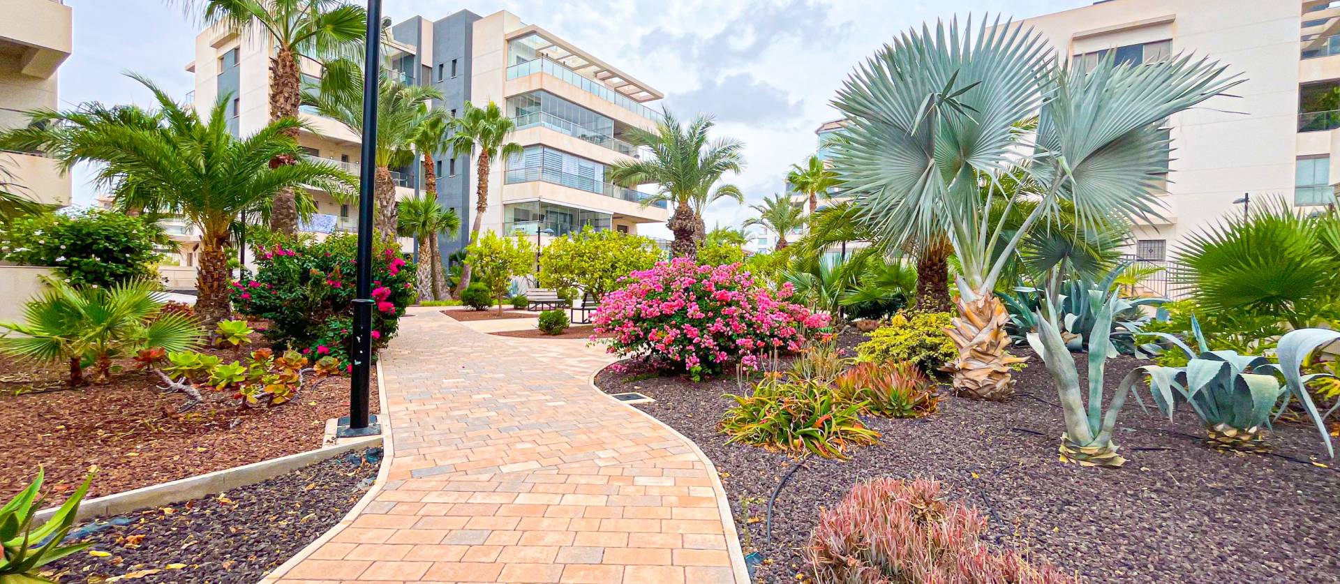 Sale - Apartment - Orihuela - Orihuela Costa