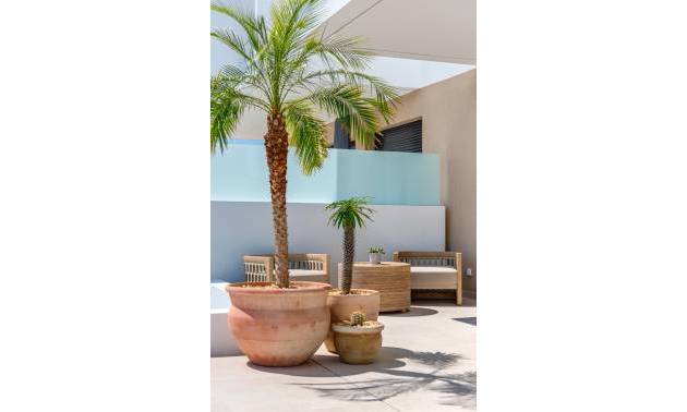 New Build - Semidetached - Dolores - Sector 3