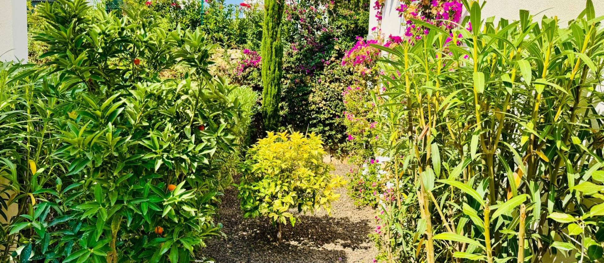 Sale - Villa - Algorfa - La Finca Golf